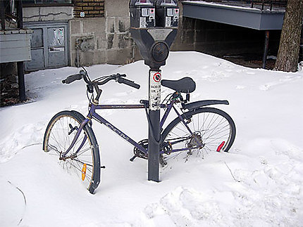 Montréal l'hiver