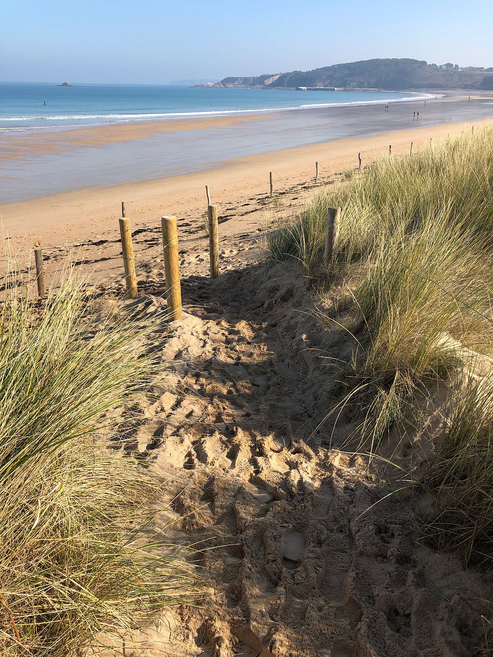 Entre dune et plage