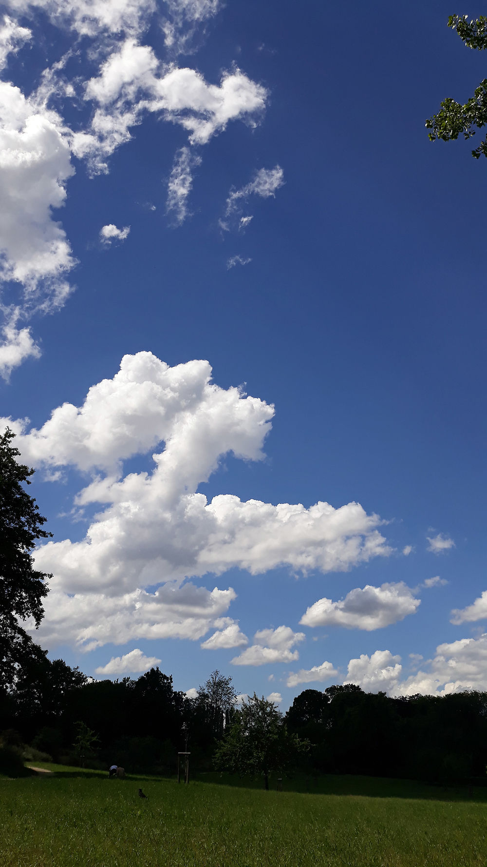 Nuages à la Magritte en Belgique