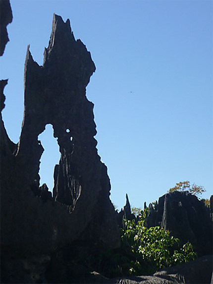 Les grands Tsingy de Bemaraha 
