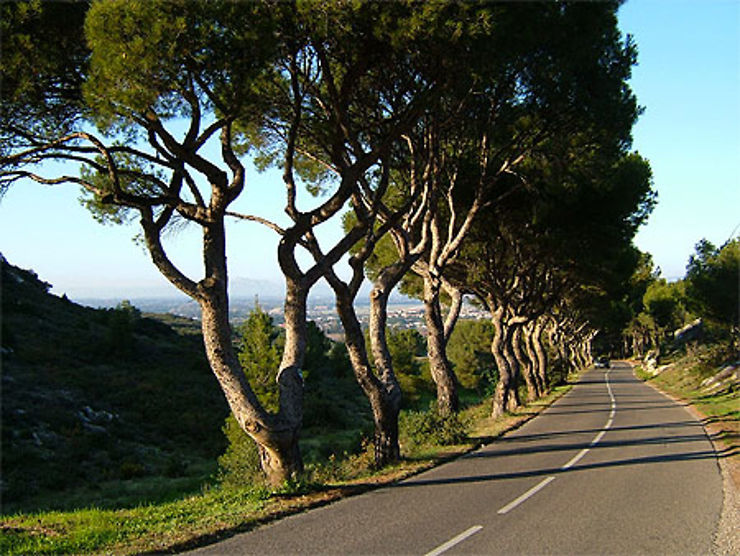 Route en Provence  Routes  Transport  BouchesduRhône  Provence