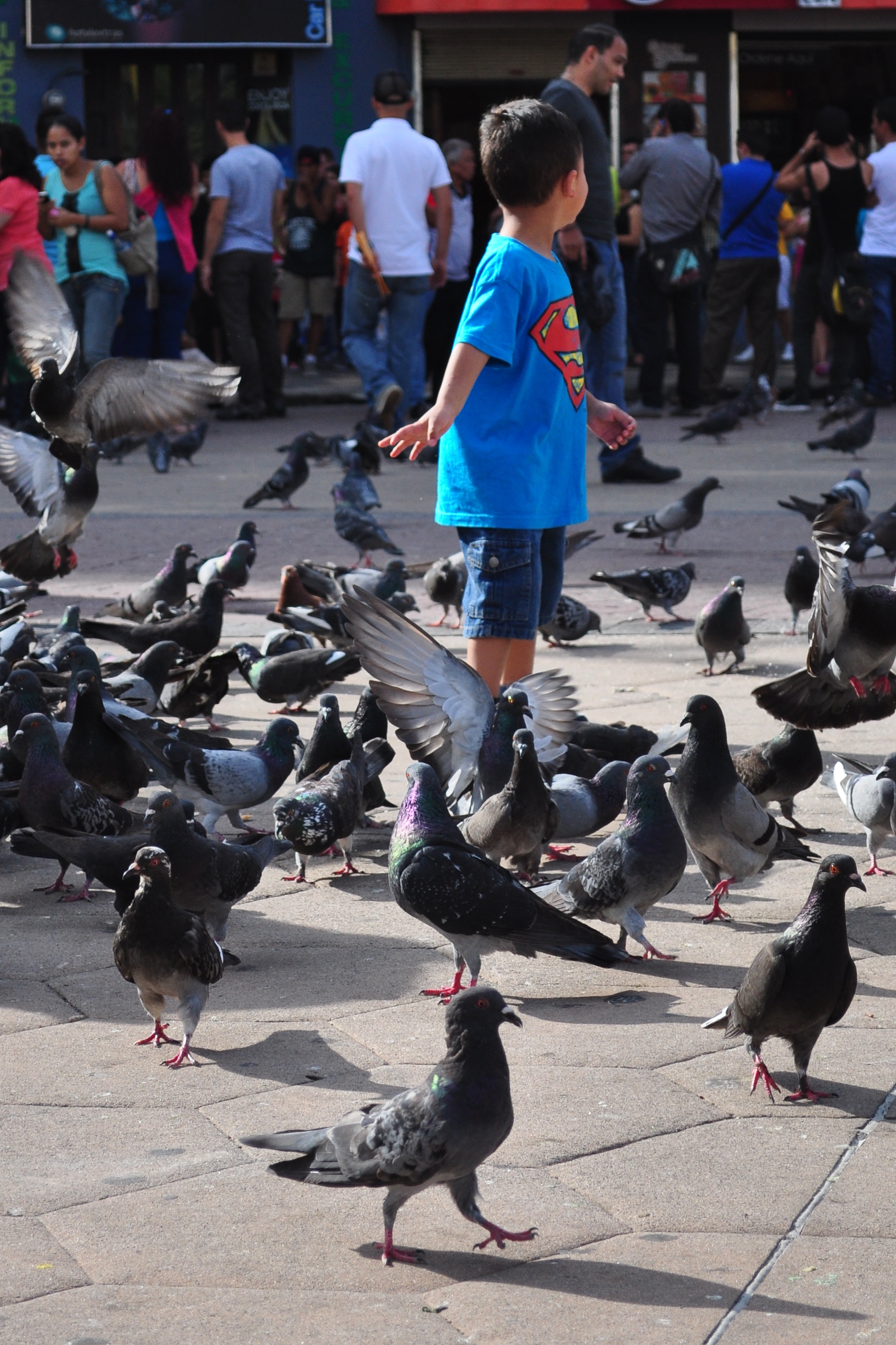 L'enfant et les oiseaux L'enfant et les oiseaux