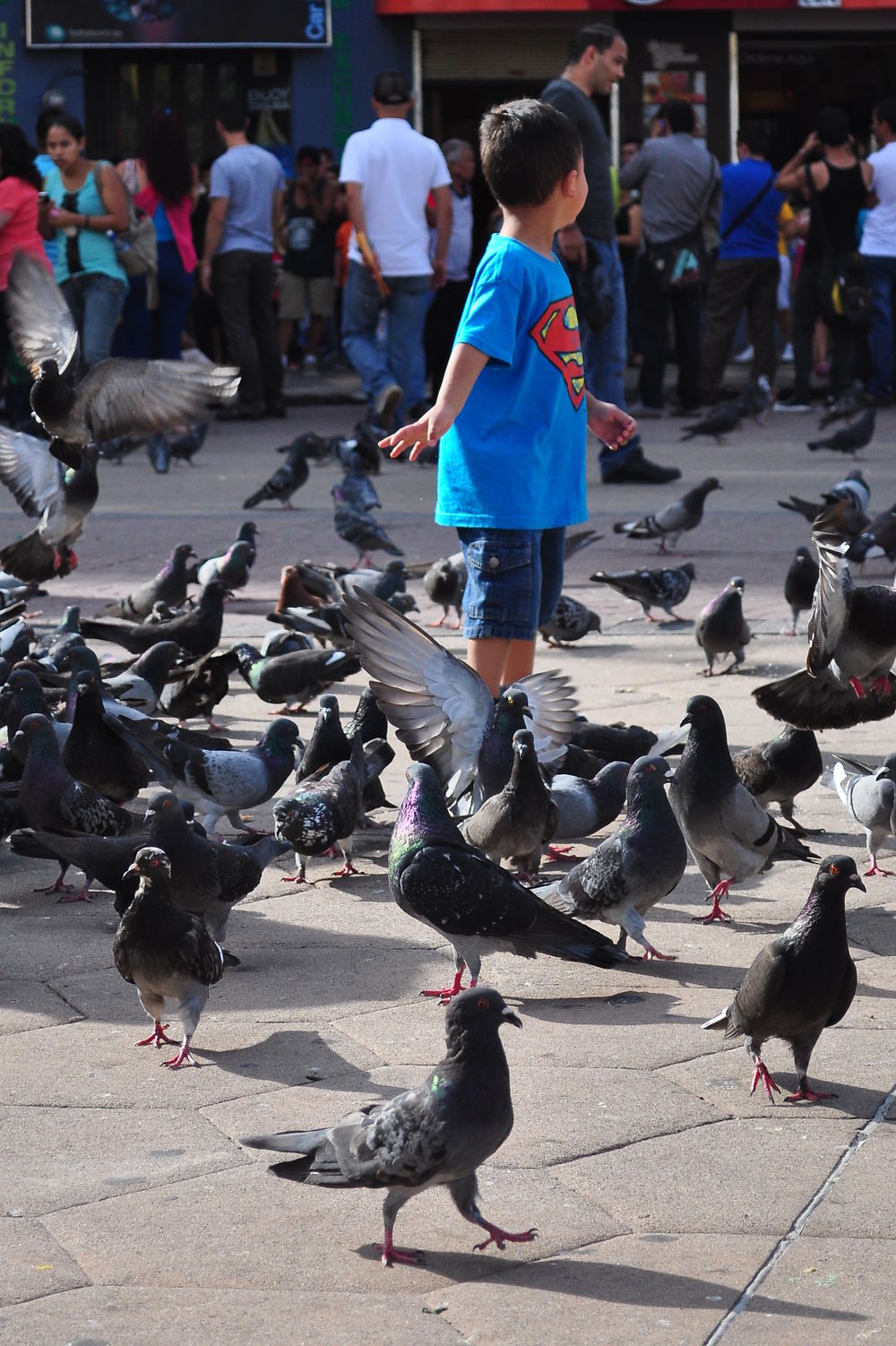 L'enfant et les oiseaux