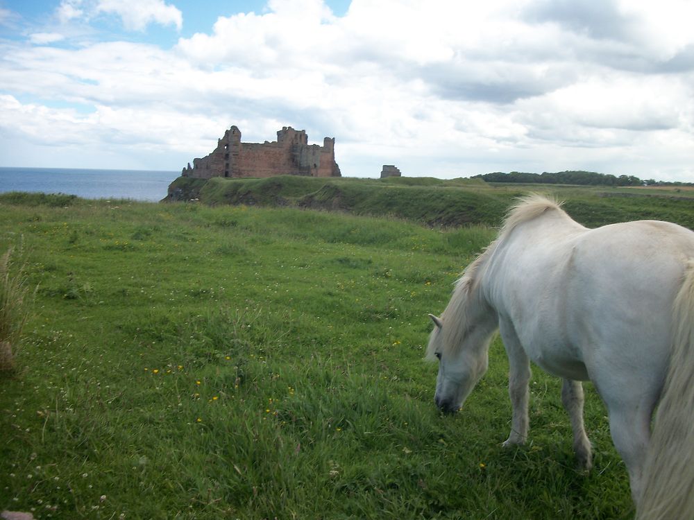 Château de Tantallon