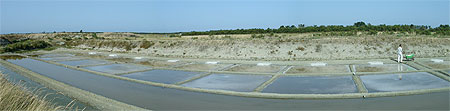Île de Ré Île de Ré