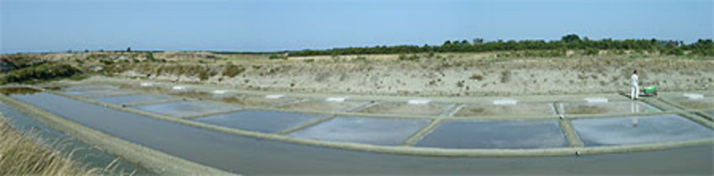 Île de Ré