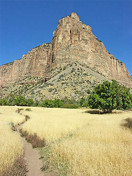 jones hole trail