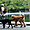 Promeneurs dans Central Park