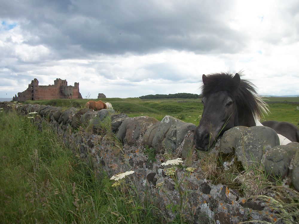 Château de Tantallon