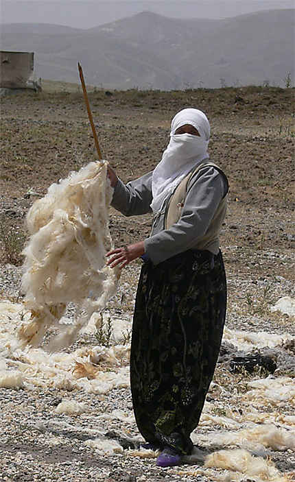 Femme kurde battant la laine