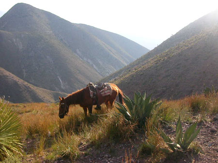 El quemado El quemado