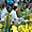 Marchande de fleurs - Marché de Hué