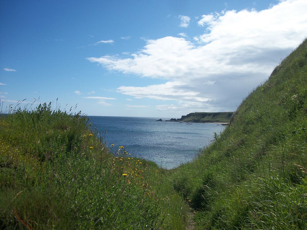 Petit chemin avant le château de Tantallon