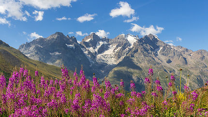 Merveilles des Hautes Alpes