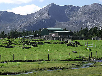 Randonnée au Connemara