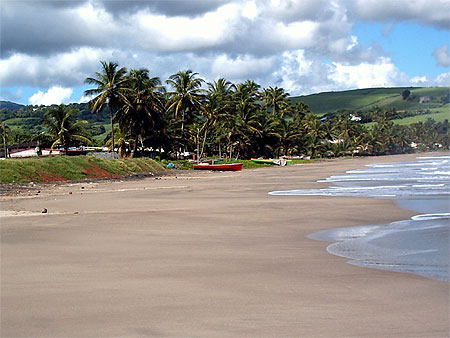 Madinina Madinina