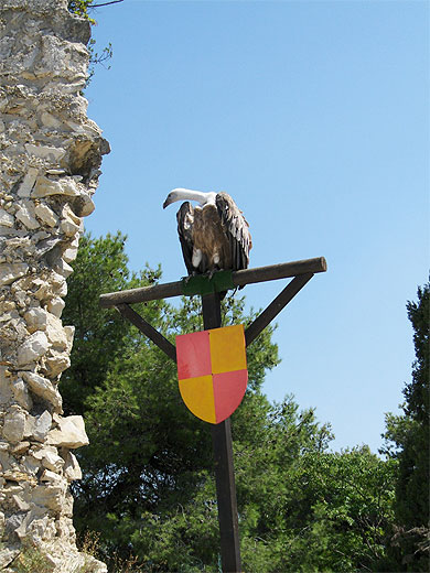 Beaucaire Beaucaire
