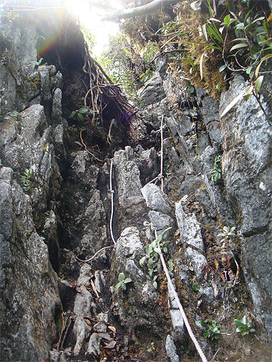 Le chemin des Pinnacles Le chemin des Pinnacles