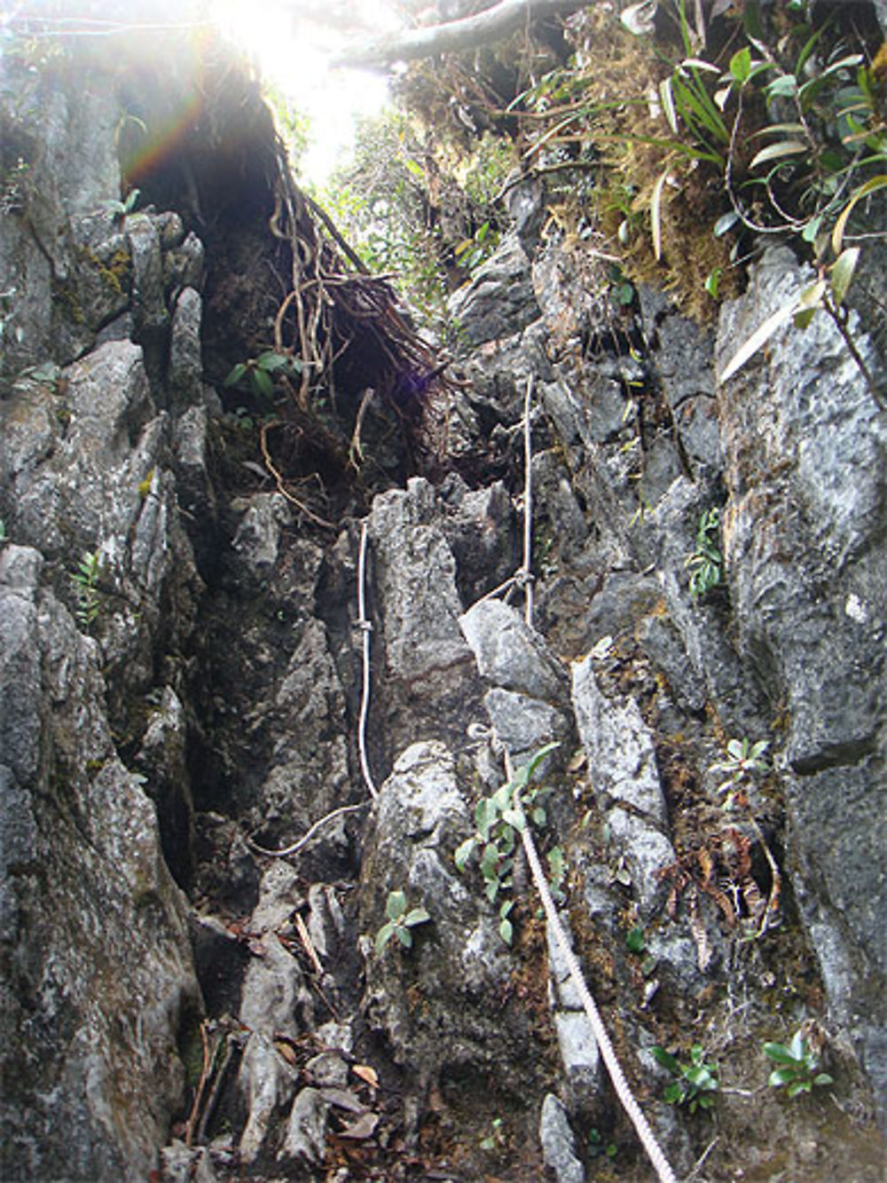 Le chemin des Pinnacles