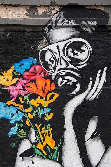 Projet Darwin - Street Art - Le masque à gaz