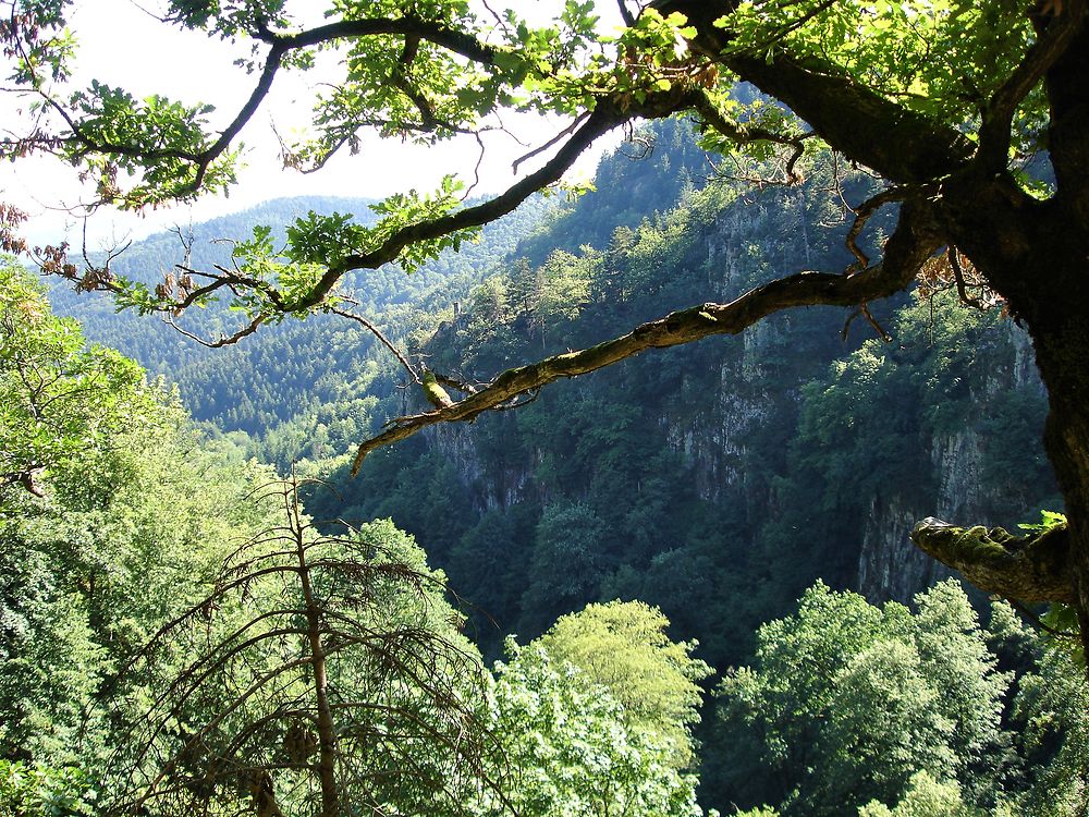 Cascade du Nideck