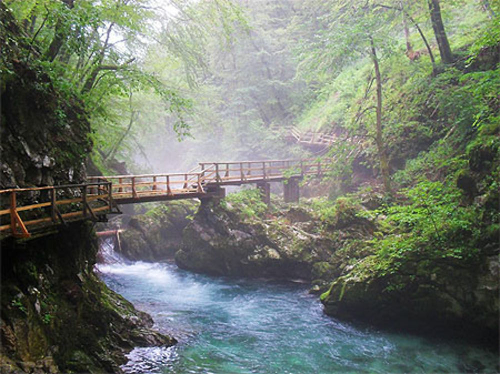 Passerelle de bois