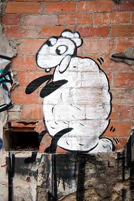 Projet Darwin - Street Art - Le mouton assi