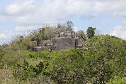 Un des temples de Calakmul