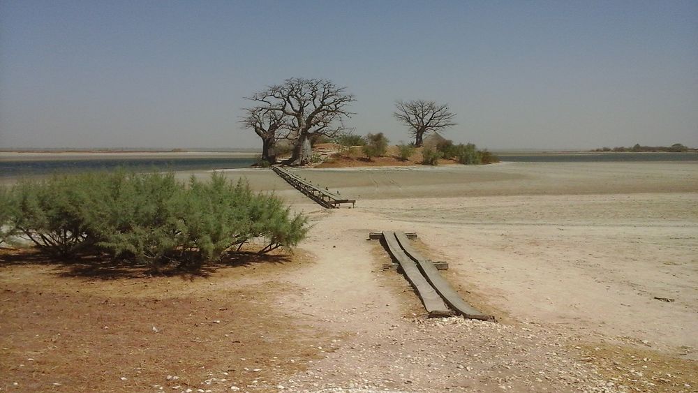 Réserve de Simal au Sénégal