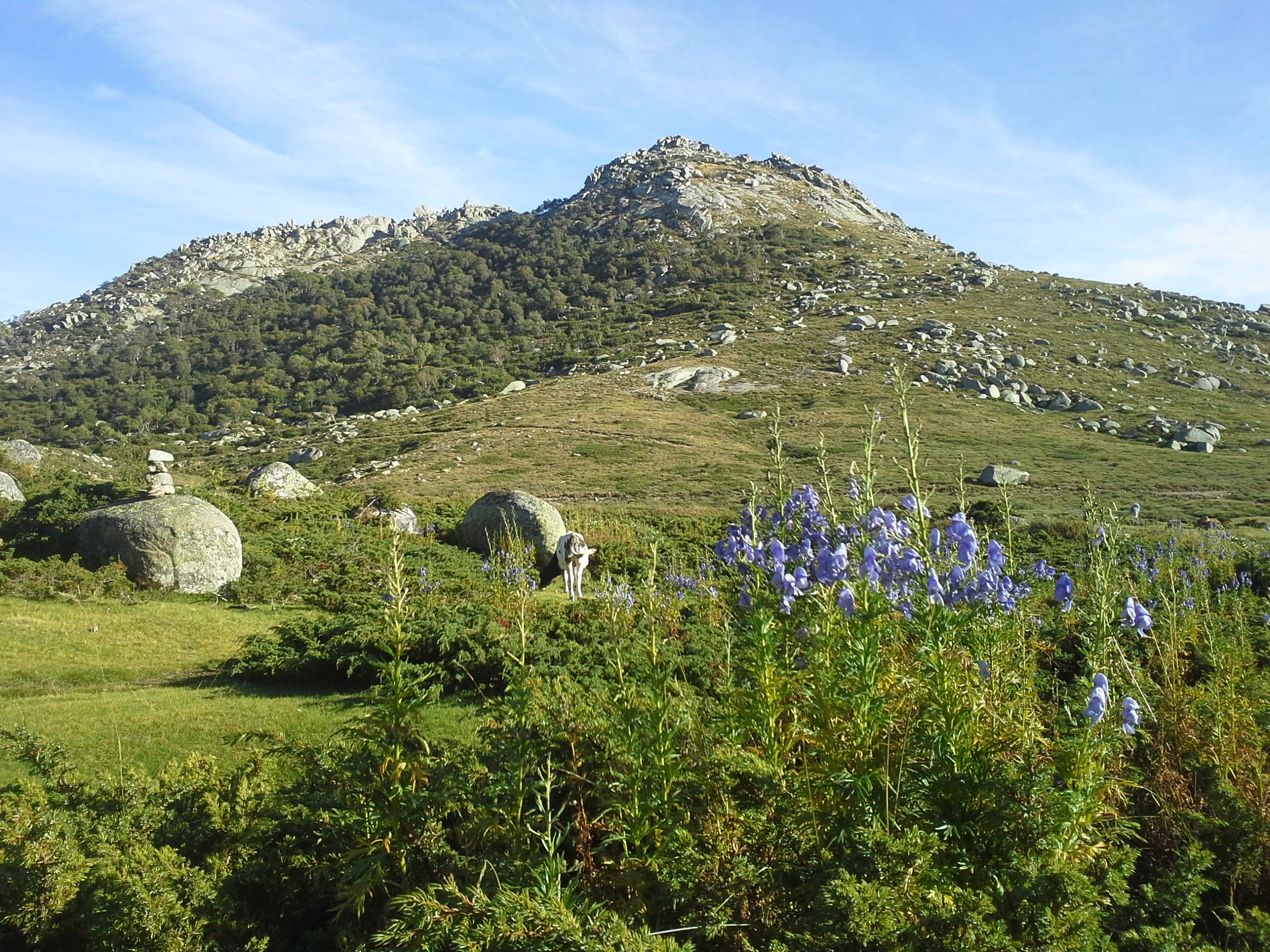 Plateau du Cuscionu en Corse Plateau du Cuscionu en Corse