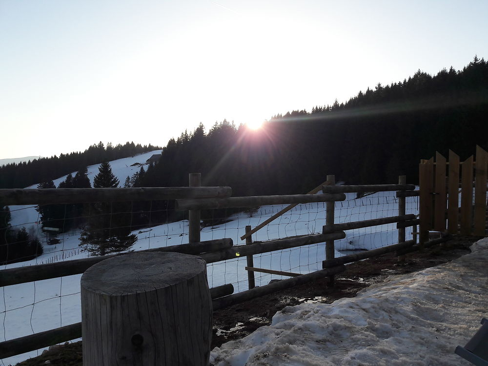 La ferme aux rennes à Soultzeren