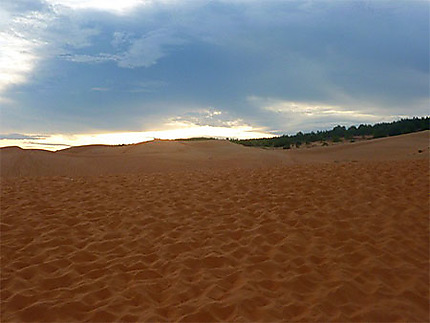 Dune orange
