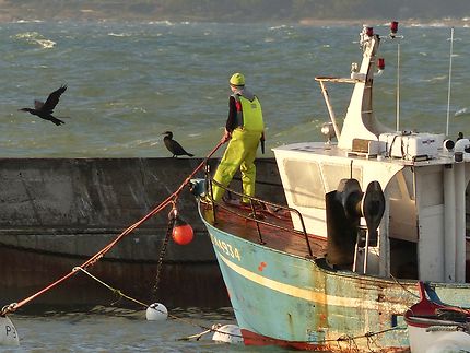 Le pêcheur et les cormorans 