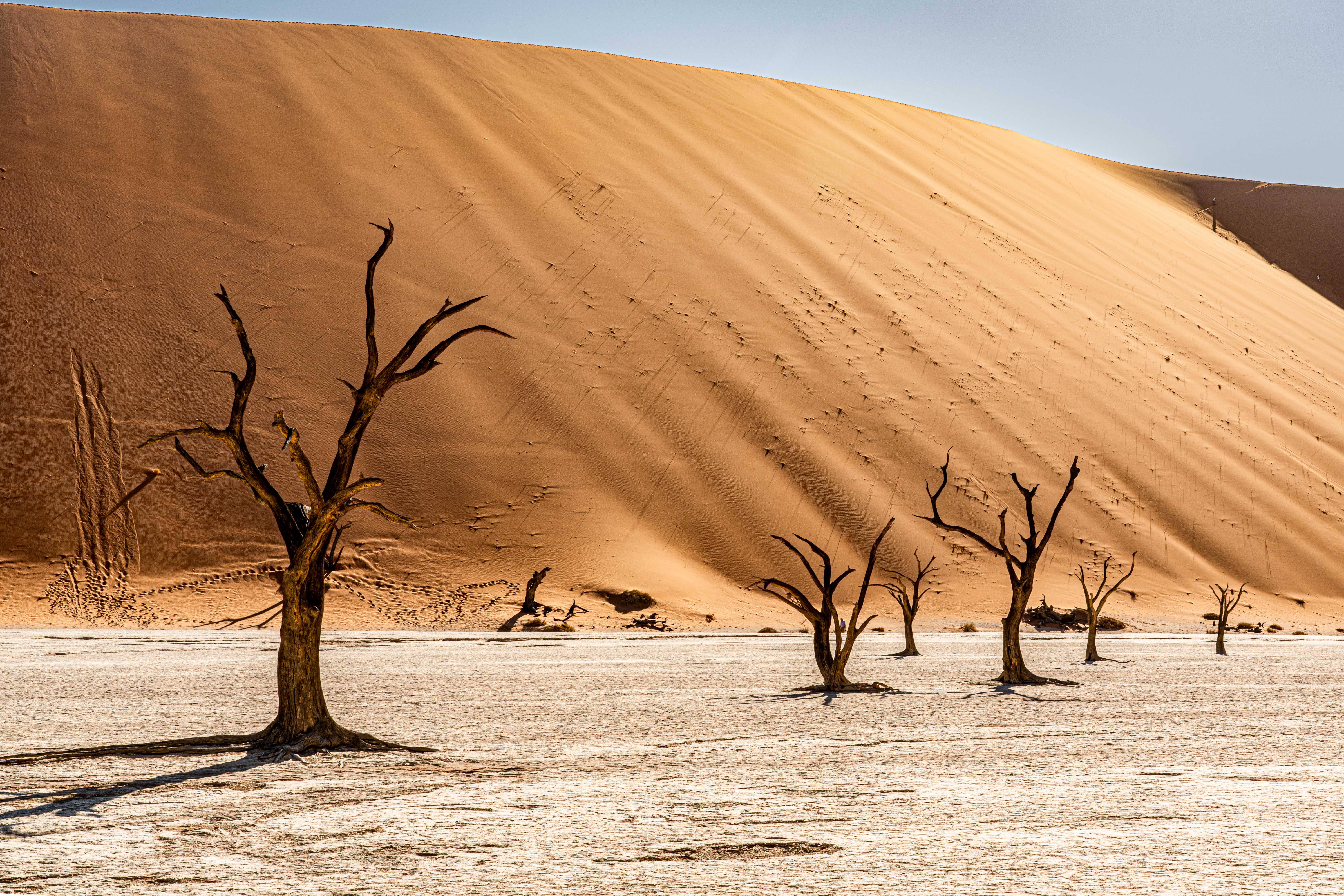 Dead Vlei Dead Vlei