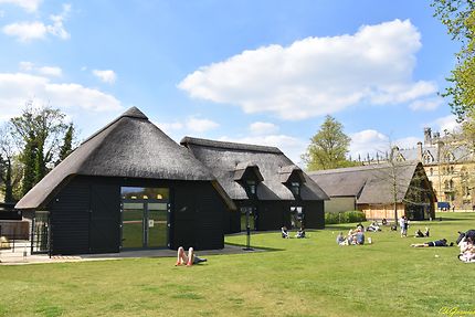 Christ Church Meadow