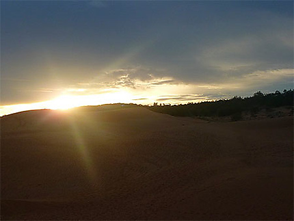Crépuscule sur la dune