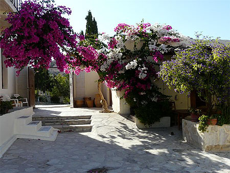 Les bougainvillés du Monastère d'Odiyitria Les bougainvillés du Monastère d'Odiyitria