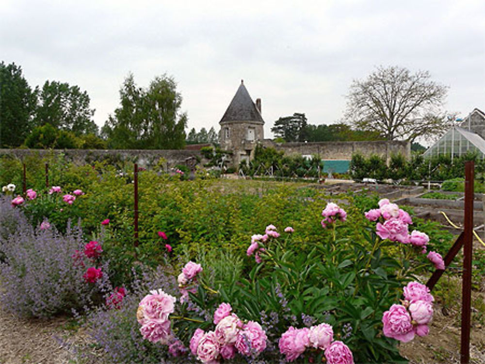 Château de Valmer