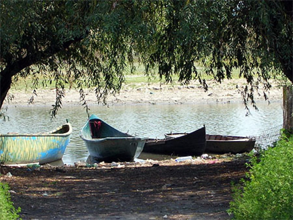 Barques sur le Danube