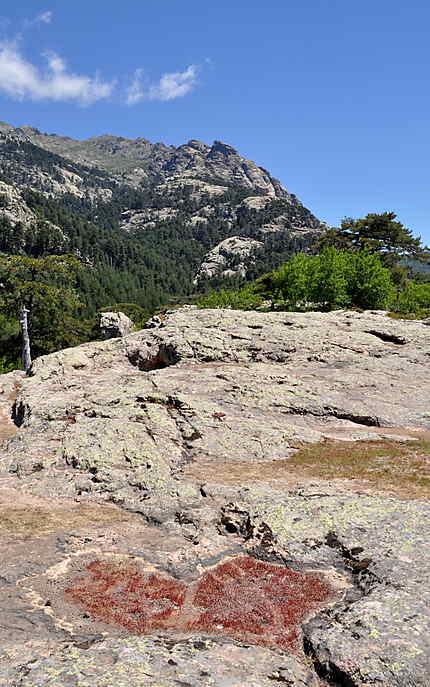 Belle vue sur la montagne