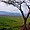 Une vue sur la Tanzanie