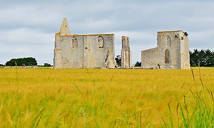 Ruines de l'Abbaye