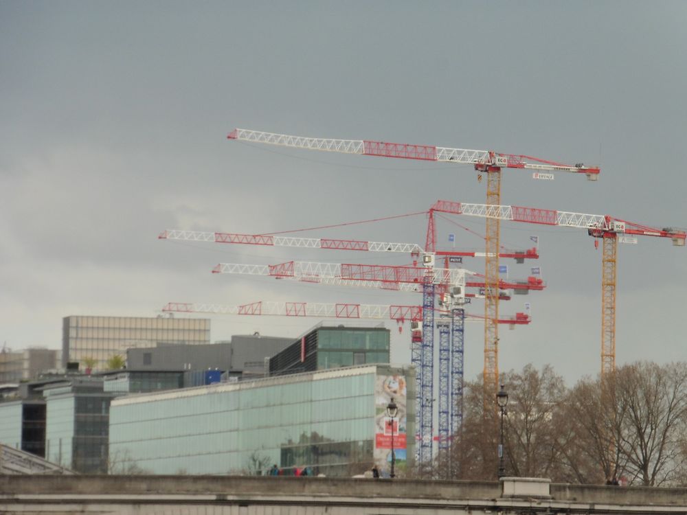 Forêt de grues