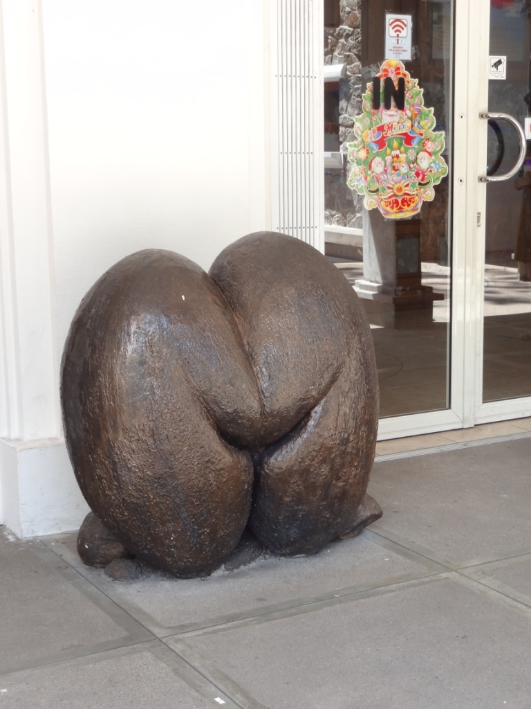 Les fameuses "Coco-fesses" Les fameuses "Coco-fesses"