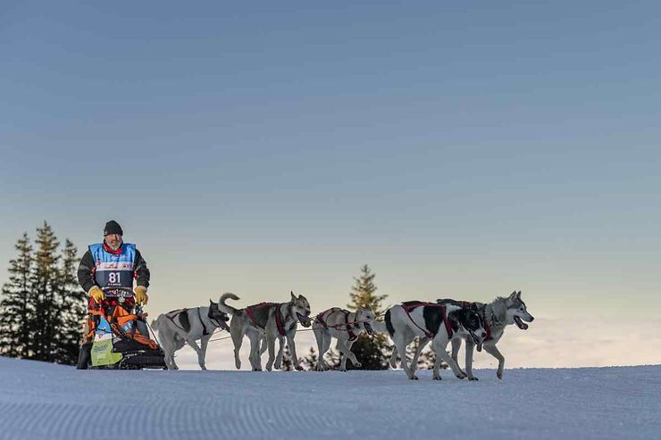 Alpes - La Grande Odyssée fête ses 20 ans