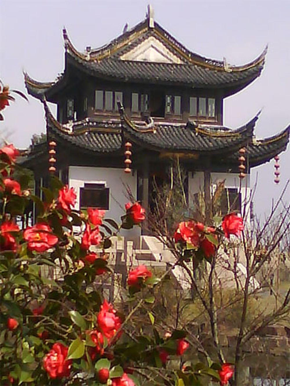 Dans un temple bouddhiste