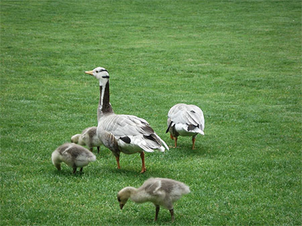 Parc Montsouris