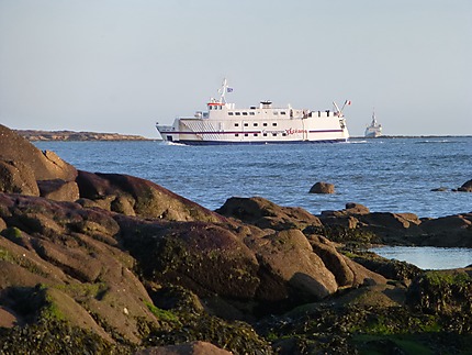Retour au port à Larmor-Plage