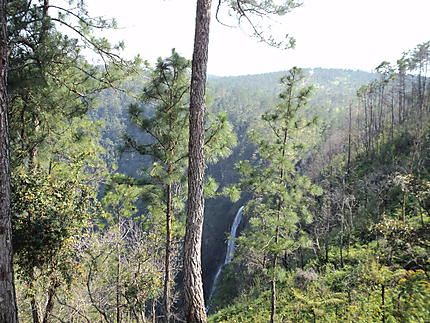 Cascade 1000 foot falls