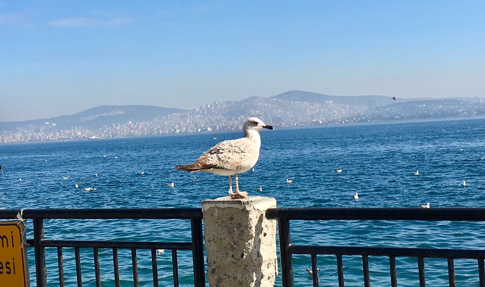 Îles aux Princes, Istanbul 